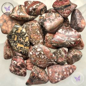 Leopard Skin Jasper Tumble Stone